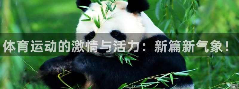 3377体育官方正版app官方:体育运动的激情与活力:新篇新