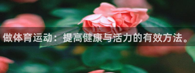 德国3377体育官方正版app集团:做体育运动:提高健康与活