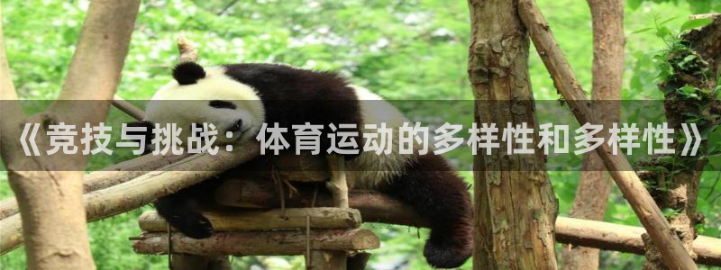 3377体育官方正版app官方:《竞技与挑战:体育运动的多样