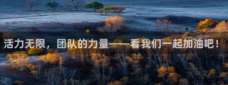 3377体育官网下载招商电话:活力无限,团队的力量——看我们